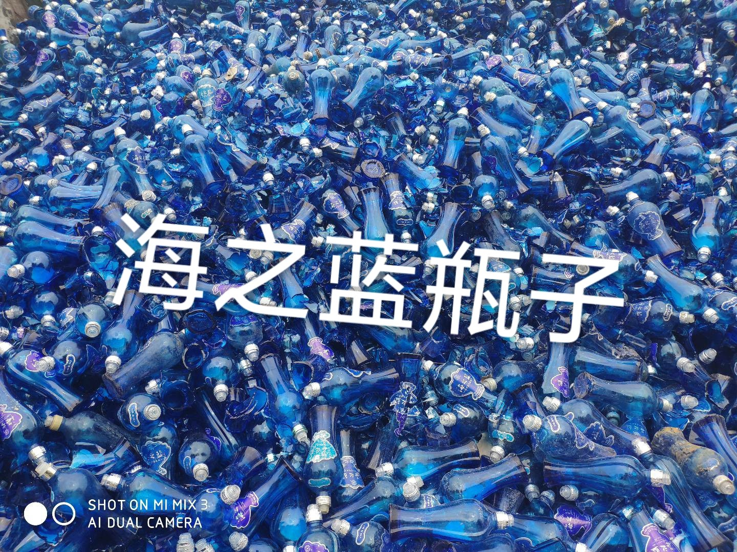贾汪区海之蓝瓶回收